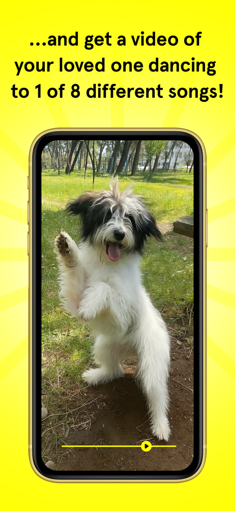 Dancing Dogs - A fluffy dog dancing on its hind legs in a 10 second video preview on a smartphone