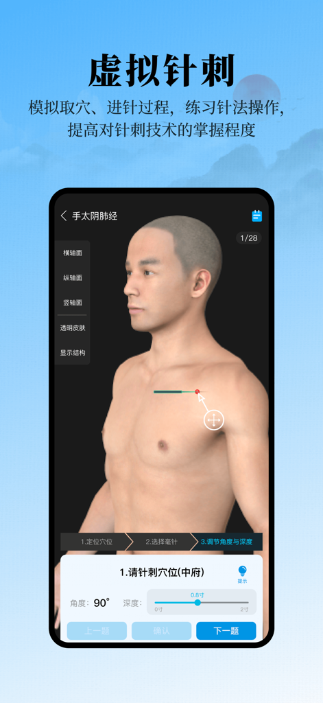 中医经络腧穴—针灸大师 - A 3D virtual acupuncture needling simulation on a human torso model showing needle depth and angle adjustments.