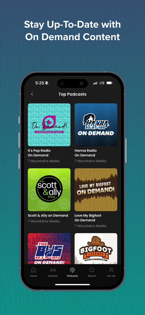 Smartphone screen displaying the Top Podcasts section with various on-demand radio shows from the Big Pig app.