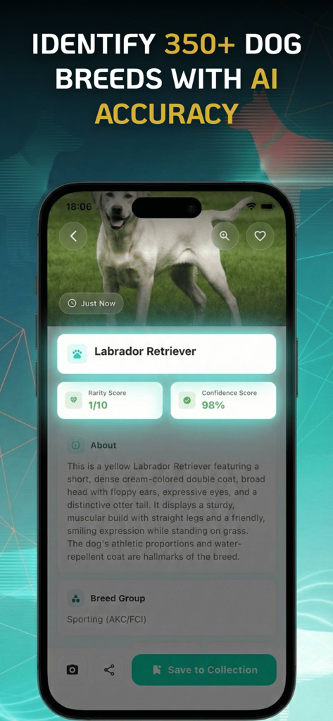 Dog Breed Identifier | Scanner - Dogly app screenshot showing AI breed identification for a Labrador Retriever