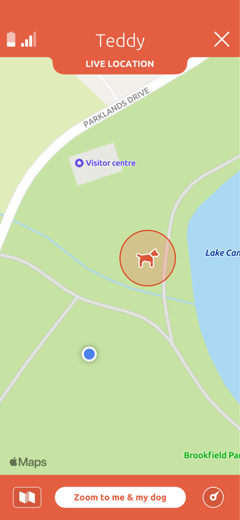 PitPat app interface displaying a dog's live location on a map in a park