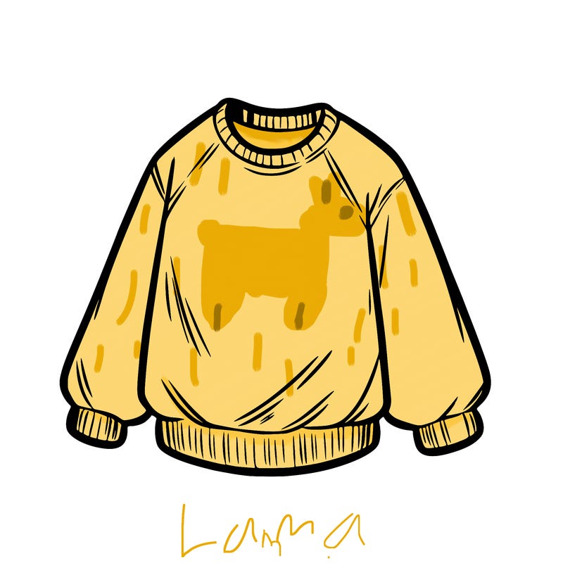 sweatshirt