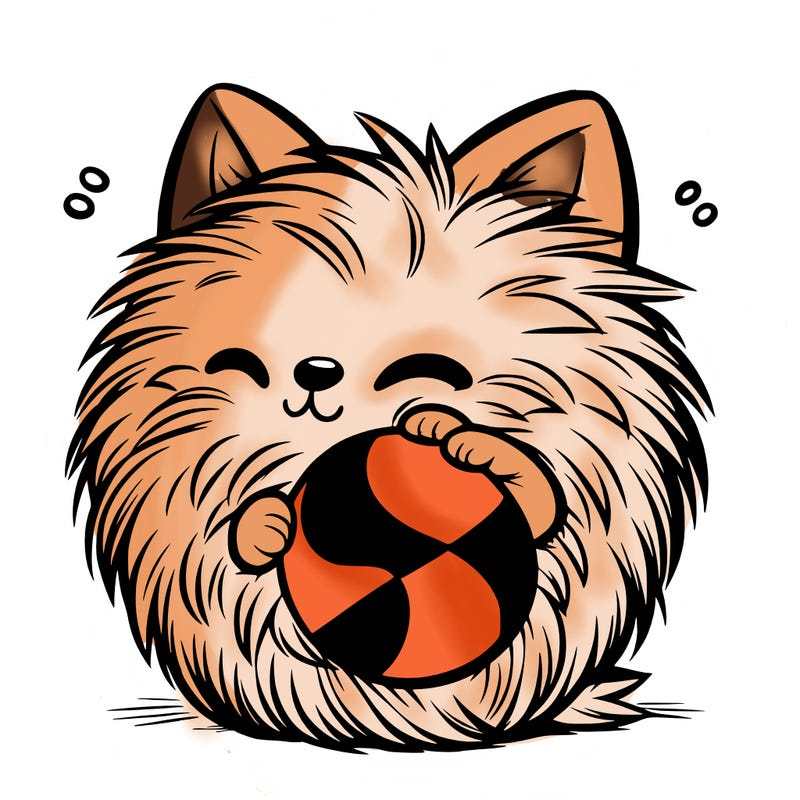 fur ball