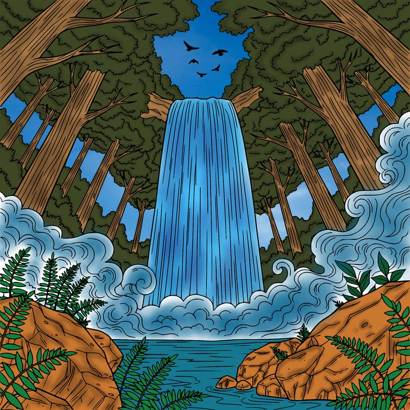 waterfall in a dense forest, mist rising, rocks and ferns at the base, birds flying nearby. detailed line art, black and white