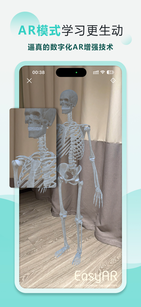 掌上3D解剖 - Pocket 3D Anatomy app showing an augmented reality human skeleton model in a real world room