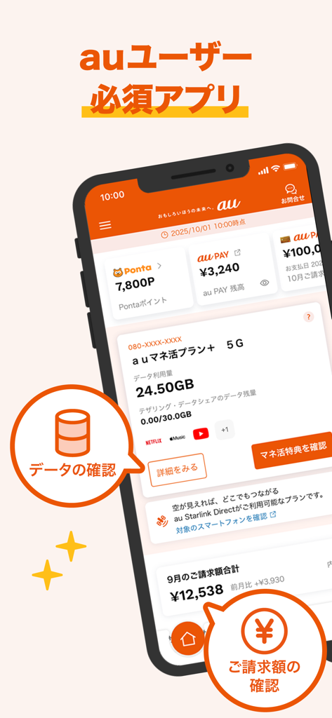 Smartphone screen displaying the My au app dashboard with billing details and data usage