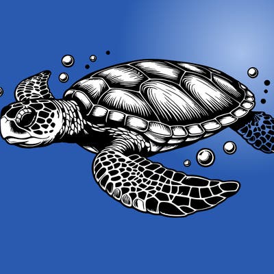 realistic sea turtle swimming