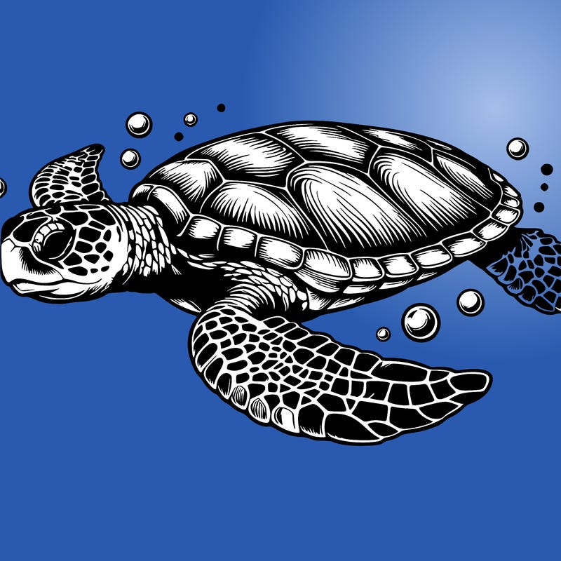 realistic sea turtle swimming