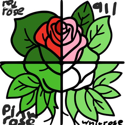 split in four rose