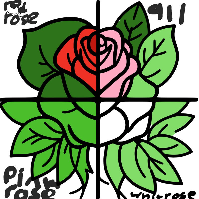 split in four rose