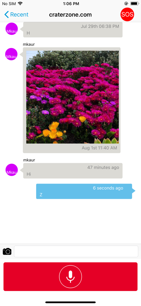 VoicePing - VoicePing chat interface showing messages a photo and a red push to talk button