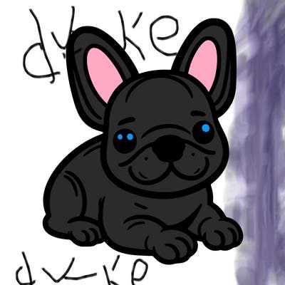 frenchie