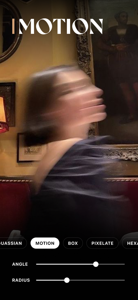 모션 블러 미학이 적용된 초상화가 Blurry Photo App 인터페이스에서 편집되고 있습니다.