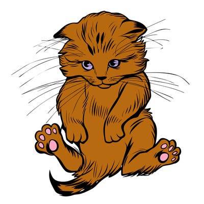 animals_20