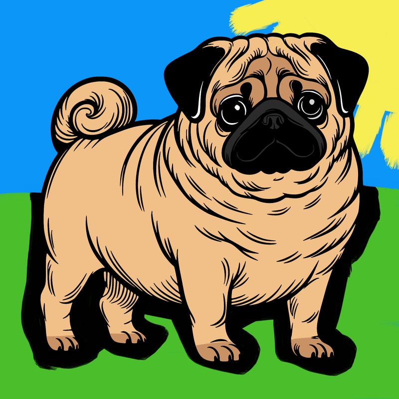 pug