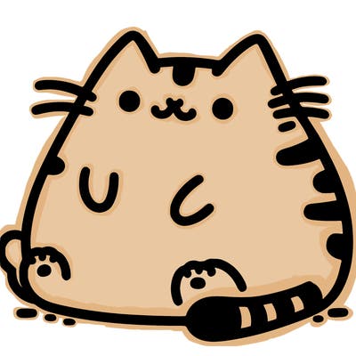 pusheen cat