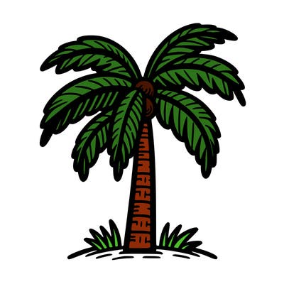 palm tree