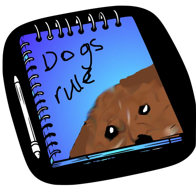 a blank sketch pad