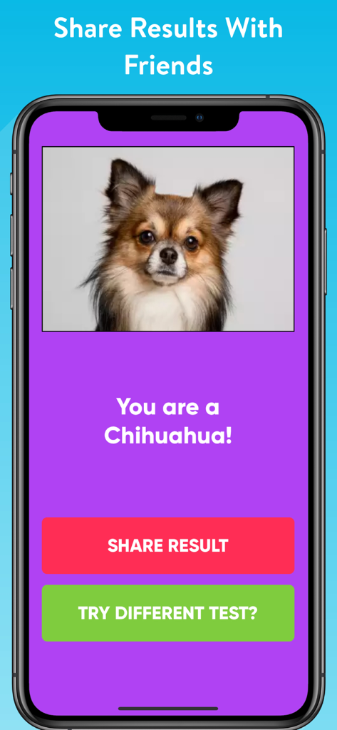 Captura de pantalla de la aplicación que muestra el resultado de una prueba de personalidad de perro para un Chihuahua con opciones para compartir resultados o intentar una prueba diferente