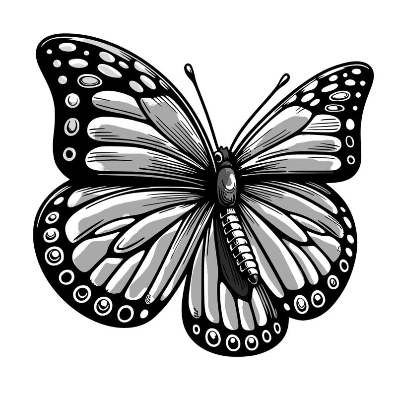 realistic butterfly