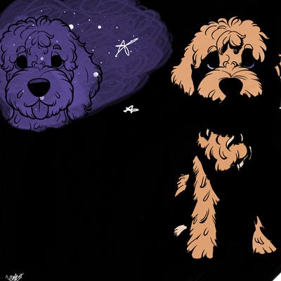 realistic, golden doodle dog