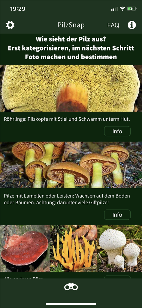 Pilzidentifizierungskategorien auf dem Bildschirm der PilzSnap-App