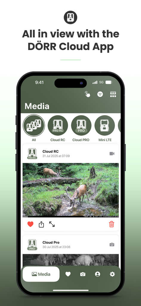 Dorr Cloud app media gallery displaying wildlife images from trail cameras