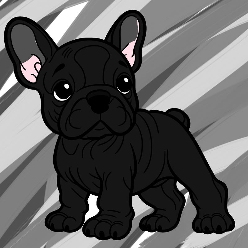 french bulldog puppy