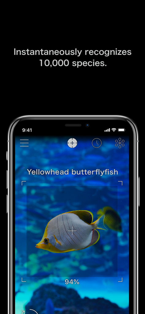Un smartphone utilisant l'application LINNE LENS pour identifier un poisson-papillon à tête jaune grâce à la reconnaissance IA.