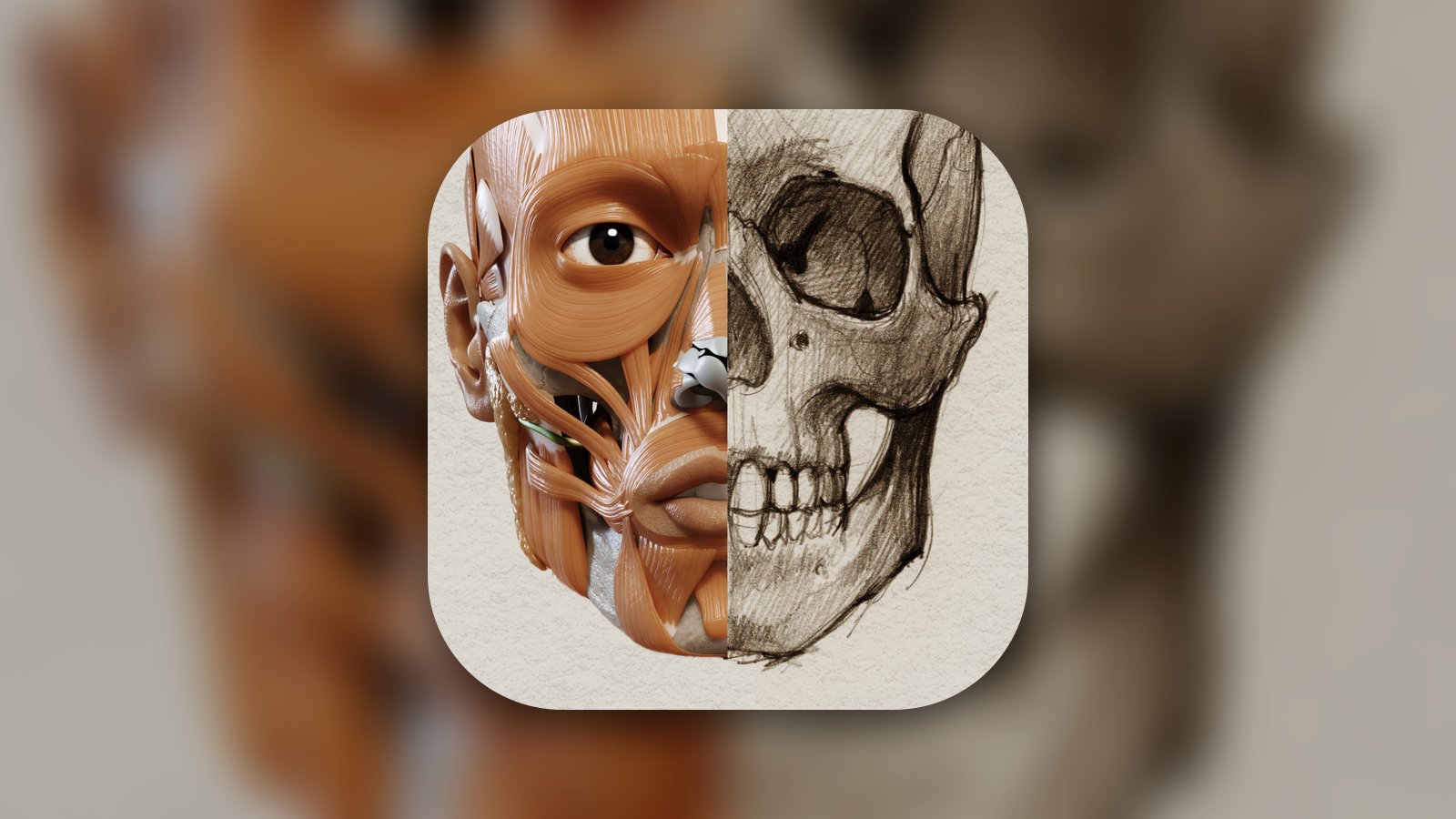 3D Anatomy for the Artist - Graphics & Design App | MWM