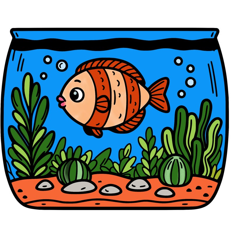 a fish in an aquarium