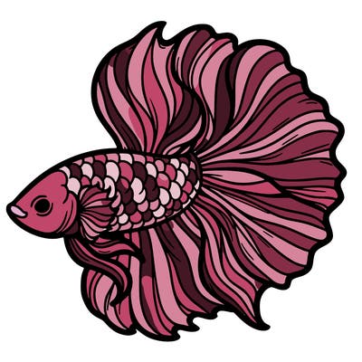 betta fish