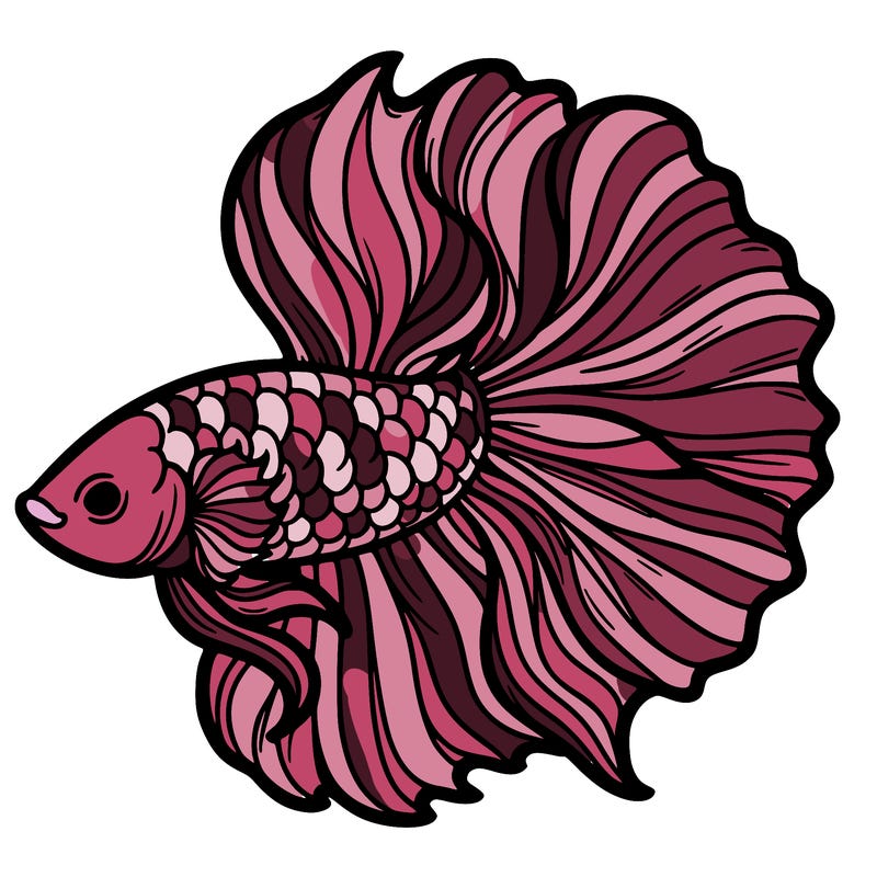 betta fish