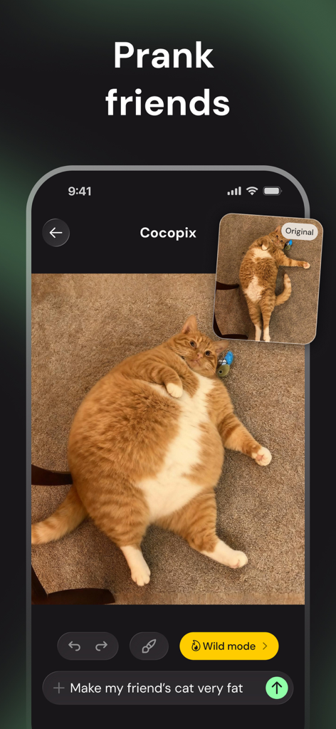 Edit Photos with AI - Cocopix - A ginger cat edited with generative AI to look humorously large in the Cocopix app interface