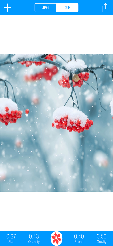 Snowing: GIF&JPG - A photo of red berries covered in snow with a digital falling snow effect being edited in the Snowing app interface.