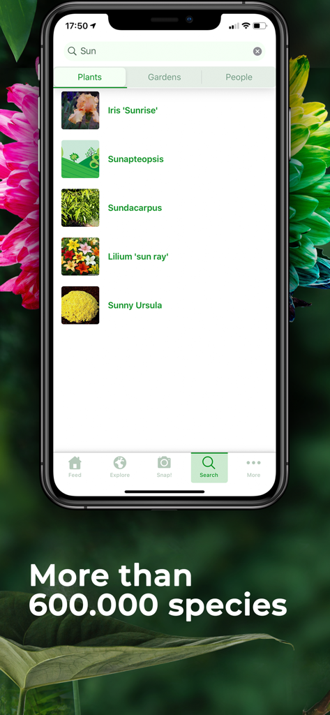 PlantSnap Pro App Suchbildschirm mit Ergebnissen für sonnenbezogene Pflanzenarten wie Iris und Lilium.
