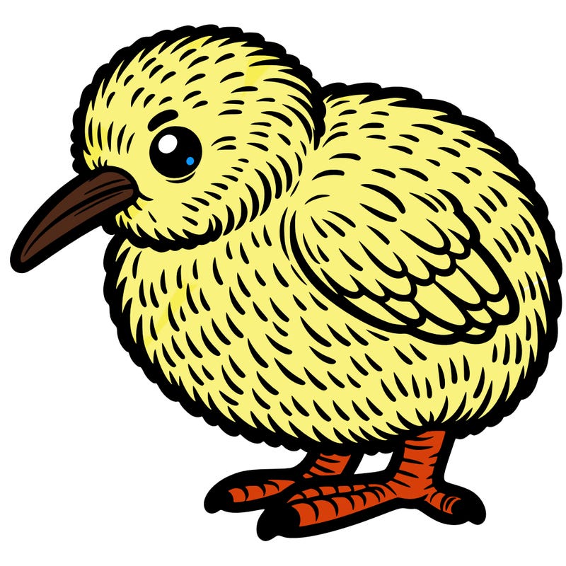 a kiwi bird