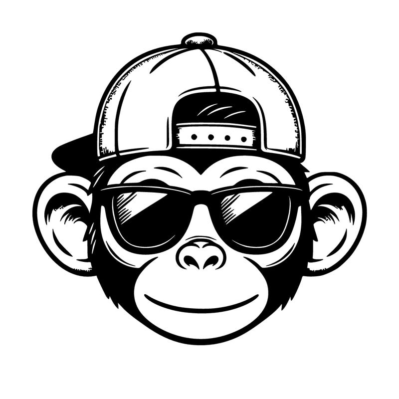 monkey wearing sunglasses and a cap