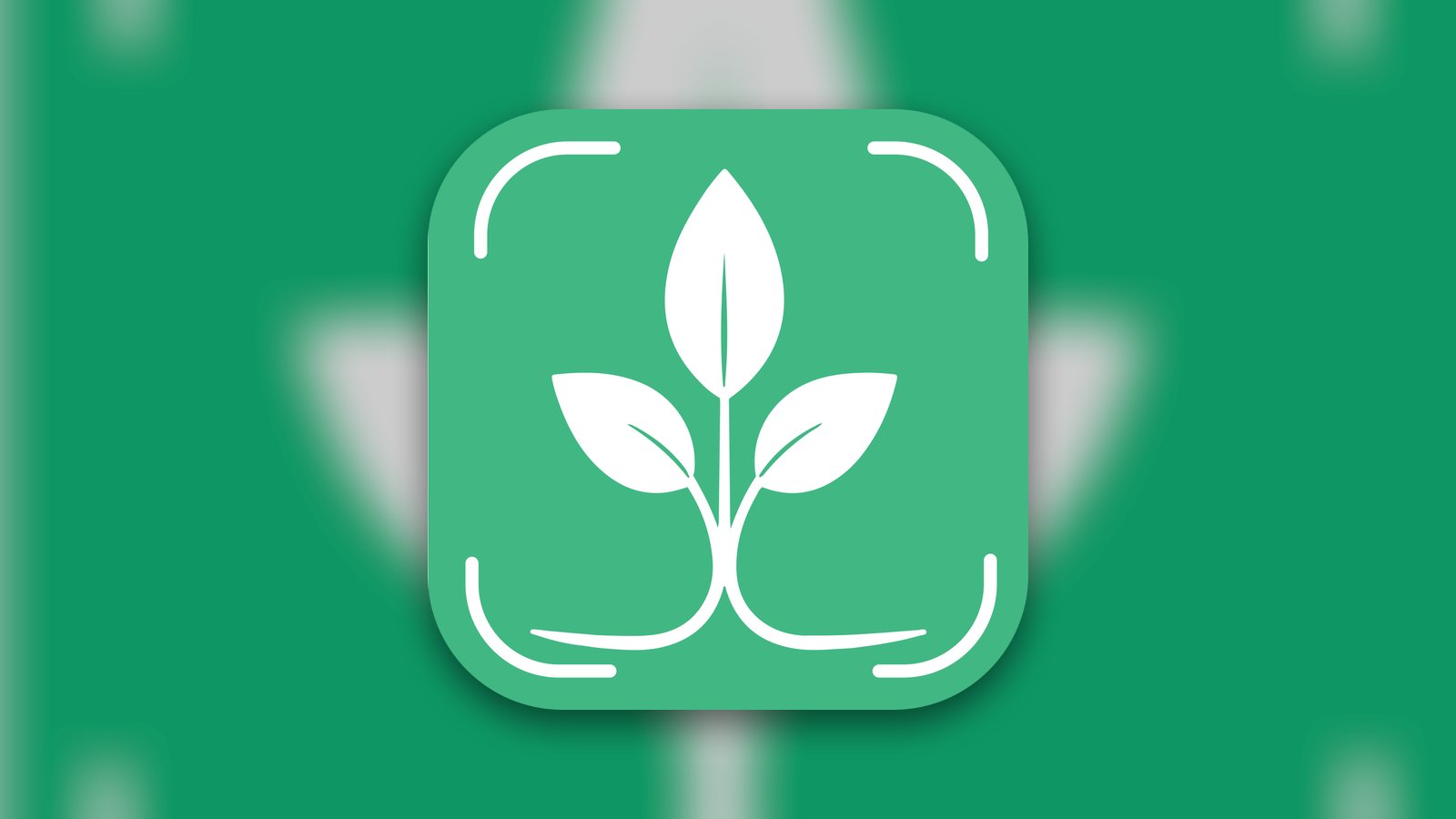 Tree ID - Identify & Diagnose - Education App | MWM