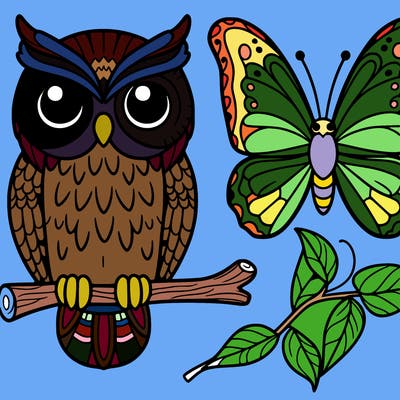 owl butterfly