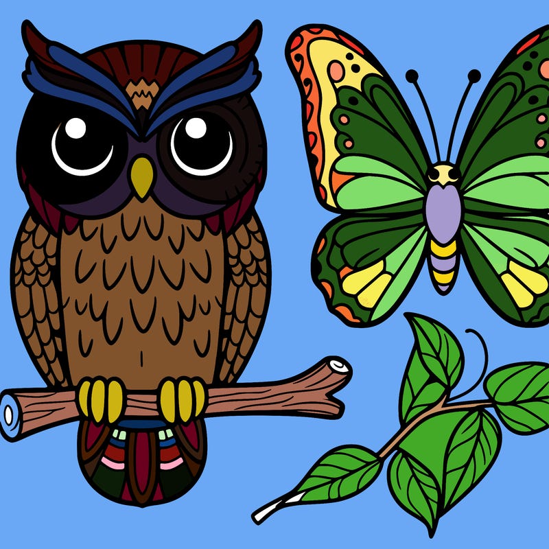 owl butterfly