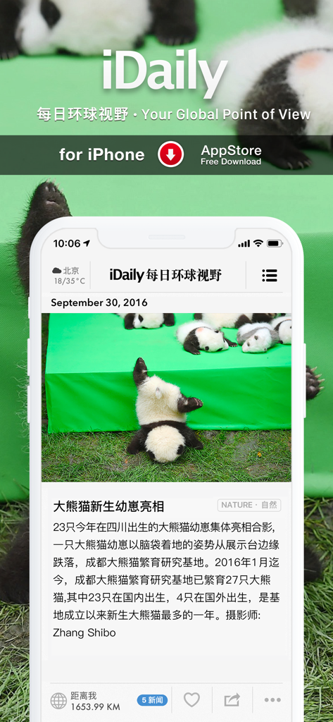 iDaily app interface on iPhone displaying a high-resolution news article about panda cubs in Chinese