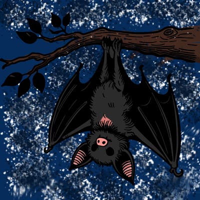 a bat hanging upside down from a tree branch