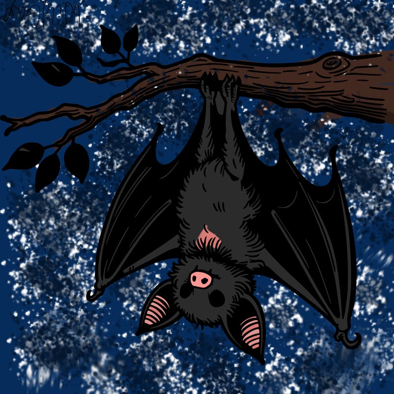a bat hanging upside down from a tree branch