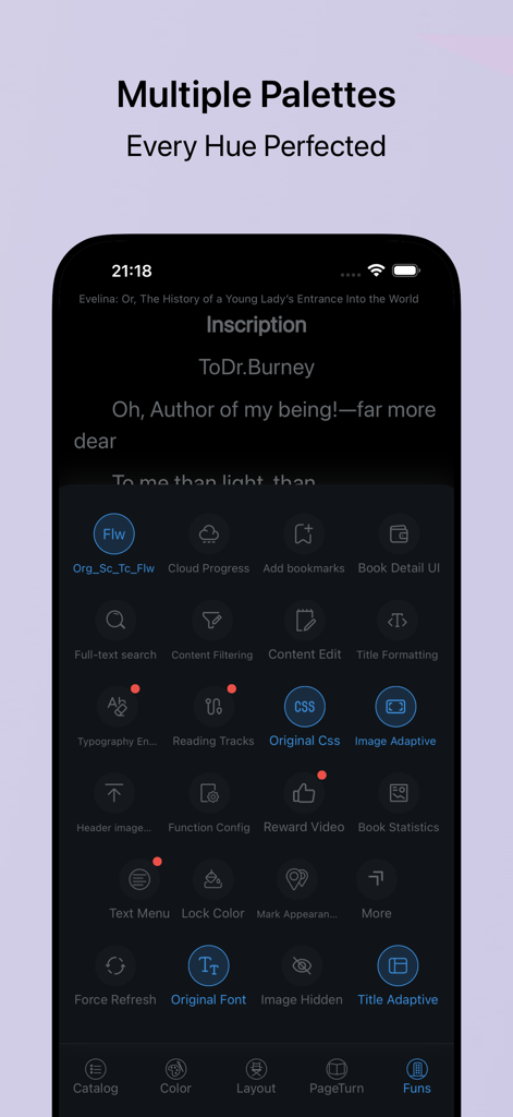 iReadNote - Interfaz de la aplicación iReadNote mostrando configuraciones profundas de personalización de lectura y múltiples paletas de colores para lectores digitales avanzados.