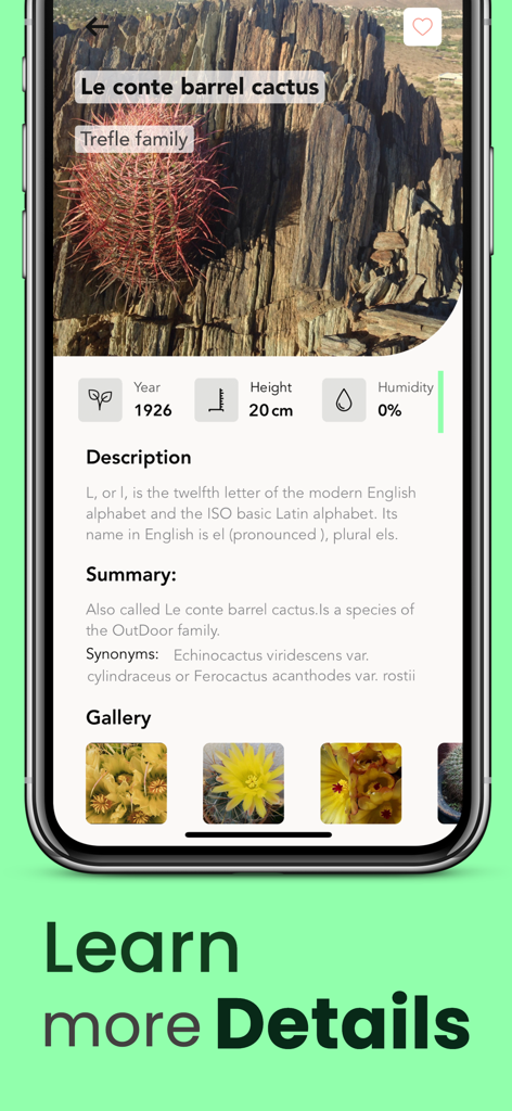 Bildschirm der Pflanzenidentifikations-App mit detaillierten Informationen zu einem Kaktus.