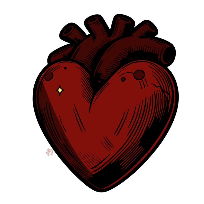 realistic heart