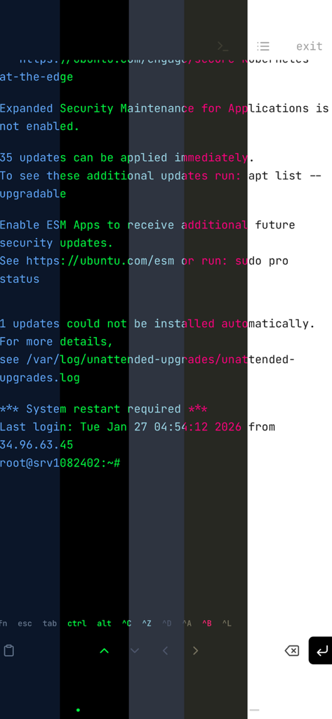 SSH Terminator - SSH Terminator interface demonstrating multiple terminal color themes on an Ubuntu server session