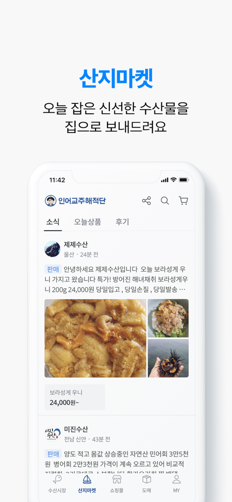 Tpirates mobile app screenshot showing fresh sea urchin listings and prices in the direct market section