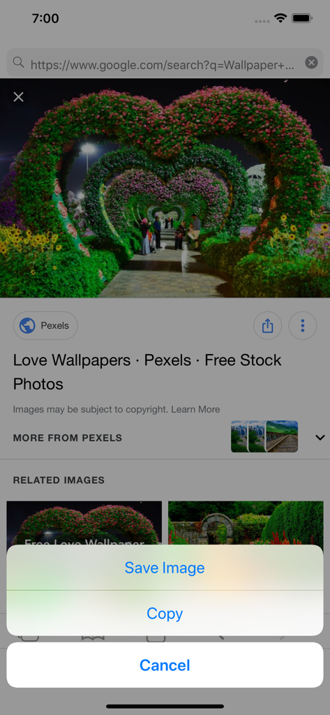 My FileManager - Documents - Saving an image from the built-in private web browser in the My FileManager app.